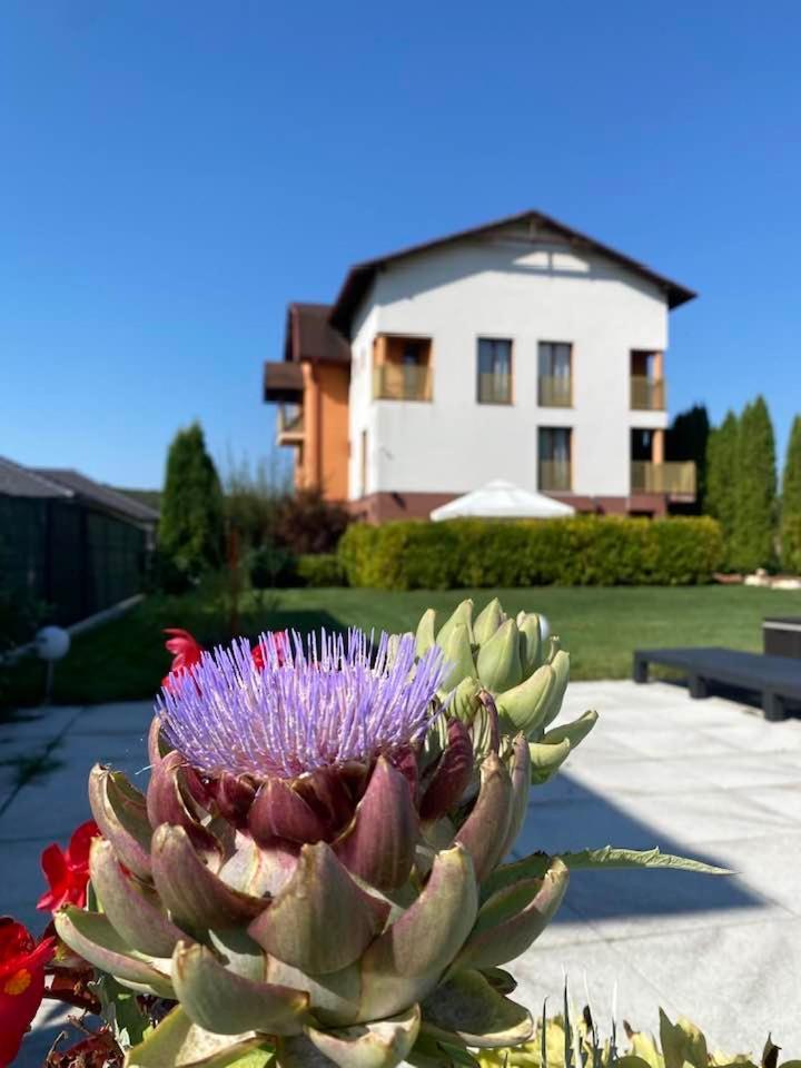 Hanul Conitei Sovata Exterior photo